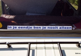 IMG 3545