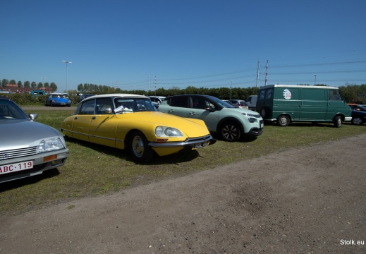 IMG 3587