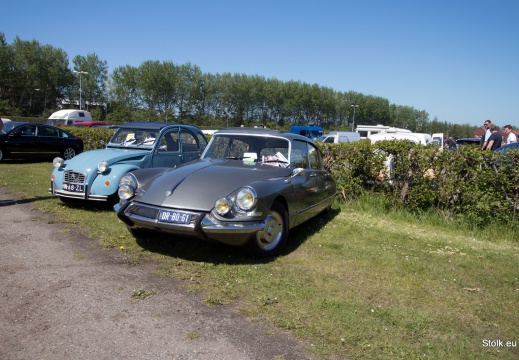 IMG 3591