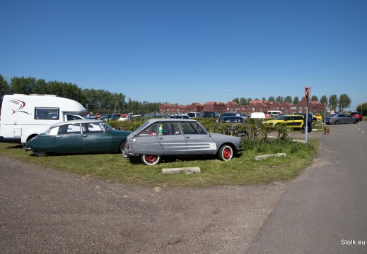 IMG 3601