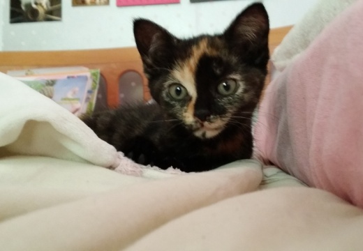 2015-08-23 13.42.03