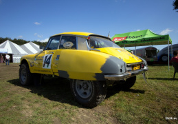 IMG 7895