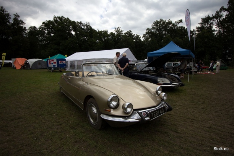 IMG_7986.jpg