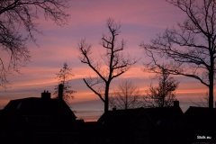 Avondroze 5-3-2015