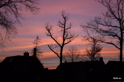 Avondroze 5-3-2015