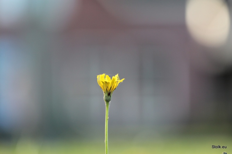 Me alone - 2013-11-03.JPG