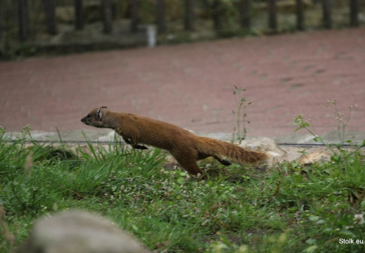 IMG 7351