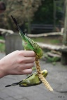 DSC00719