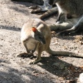 IMG 4885