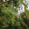 IMG 0945