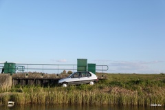 IMG 3555