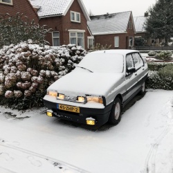 Winter (16-12-2018)