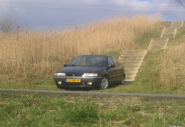 IMG 3566