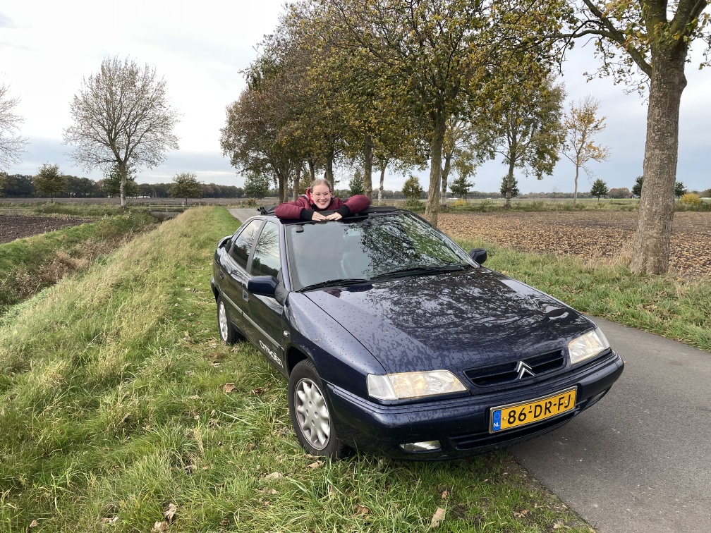 Twingo frame